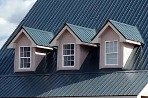 standing seam (1) standing seam (1)